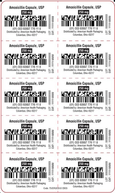 250 mg Amoxicillin Capsule Blister (250 mg Amoxicillin Capsule Blister)